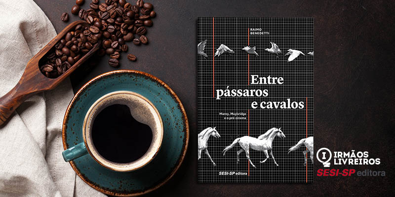 Entre pássaros e cavalos